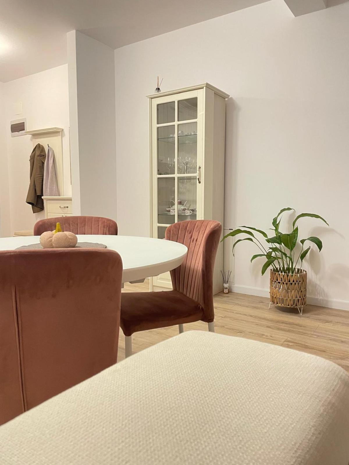 Negruzzi Apartment Dumbravita  Zewnętrze zdjęcie