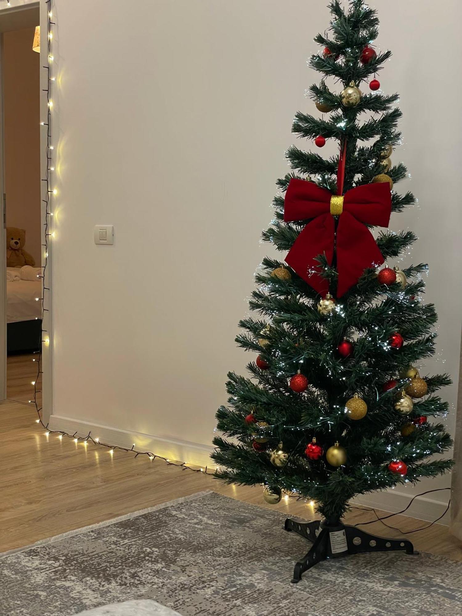 Negruzzi Apartment Dumbravita  Zewnętrze zdjęcie